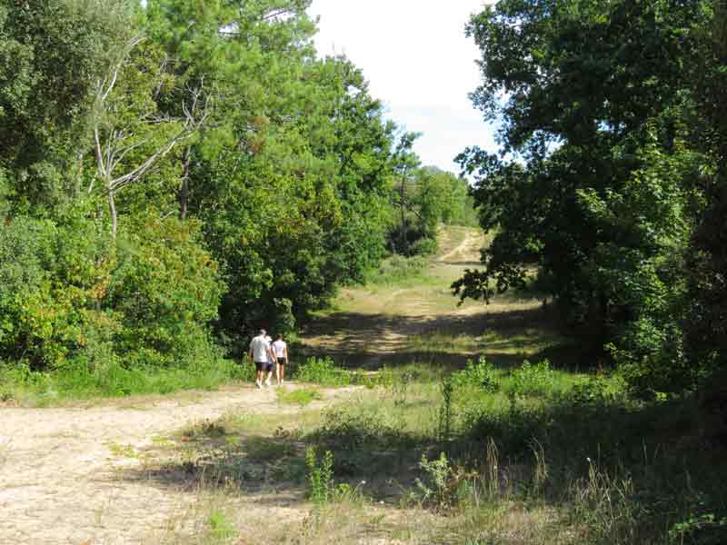 Des balades &agrave; pied - Destination Vend&eacute;e Grand Littoral