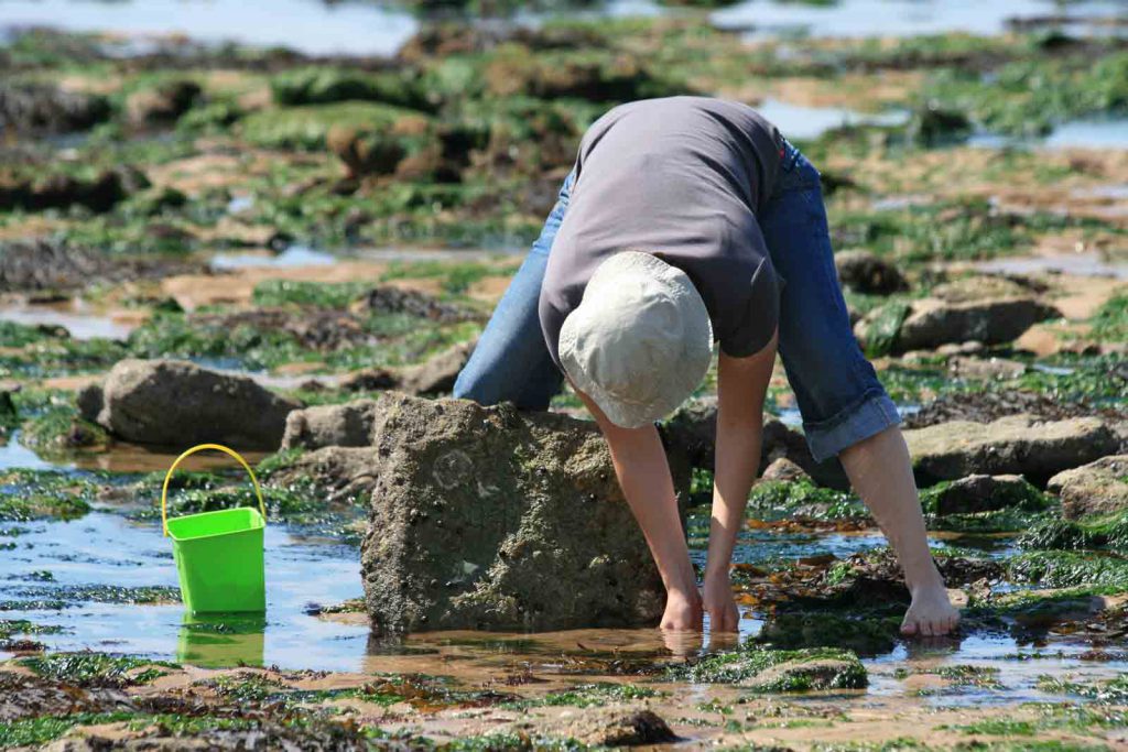 P&ecirc;che &agrave; pied - Longeville-sur-Mer