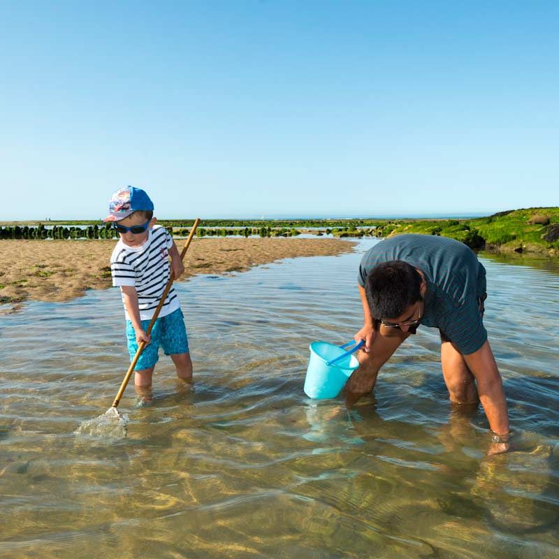 Plage du Veillon - P&ecirc;che crevettes &copy;Joncheray-Valery