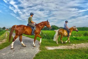 Balade à cheval dans la campagne Balade à cheval dans la campagne