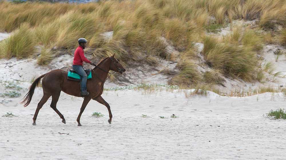 Balade &agrave; cheval - Destination Vend&eacute;e Grand Littoral