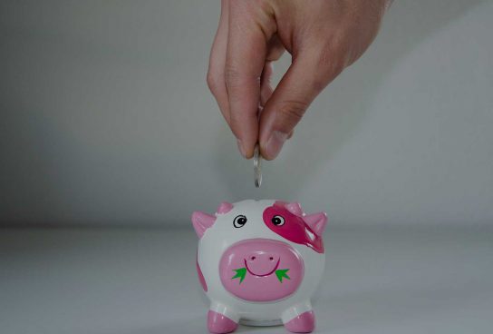 Bons plans Vend&eacute;e - R&eacute;ductions - Promotions