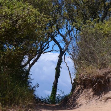 Pointe du Payr&eacute; - &copy;Destination Vend&eacute;e Grand Littoral