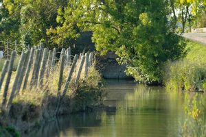 Promenade du Marais &agrave; Longeville-sur-Mer