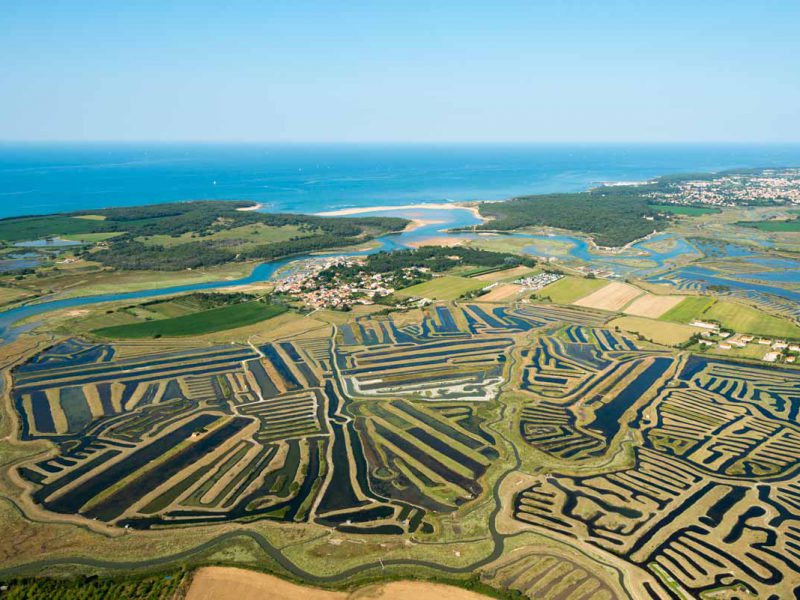 Randonnée dans les Marais de La Guittière à Talmont-Saint-Hilaire Randonnée dans les Marais de La Guittière à Talmont-Saint-Hilaire