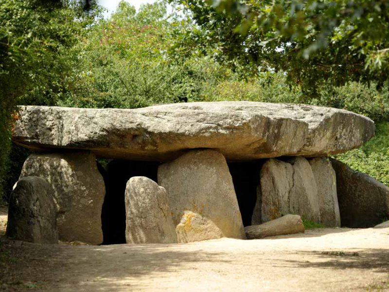 Le Bernard, Dolmen de la Fr&eacute;bouch&egrave;re - &copy;Thomas Delonde