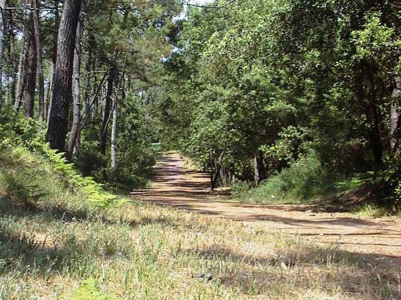 Randonn&eacute;e Madoreau &agrave; Jard-sur-Mer