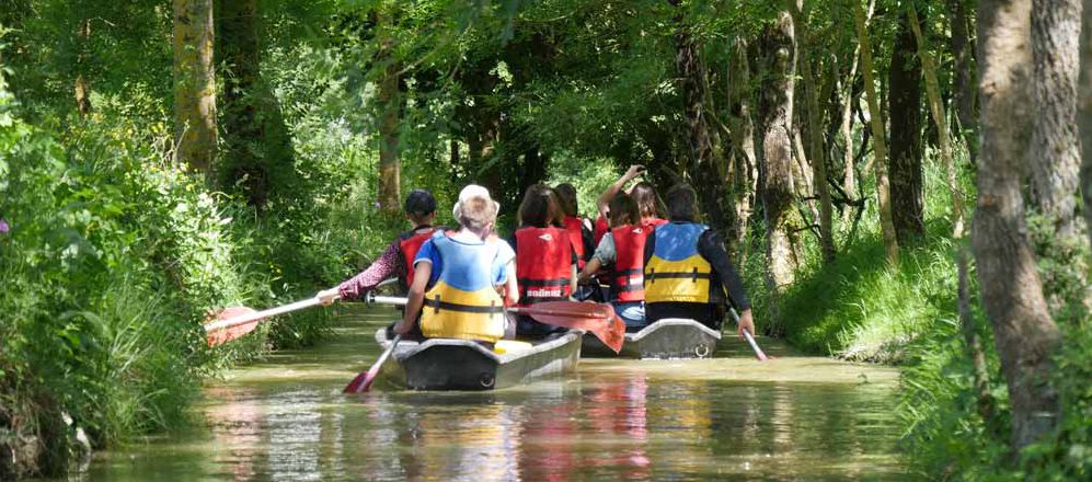 Balade en barque sur le marais Poitevin &agrave; Longeville-sur-Mer