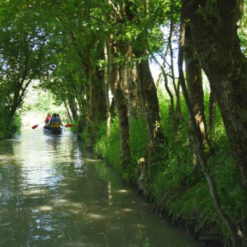 Maison du marais Longeville-sur-Mer Marais poitevin for&ecirc;t