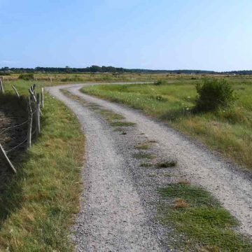 Marais Salants de la Guitti&egrave;re