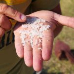 Visite avec le CCT dans les marais salants zoom sur le sel