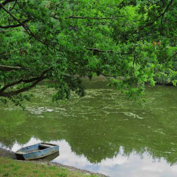 Lac de finfarine &agrave; Poiroux - @Horizon Vertical