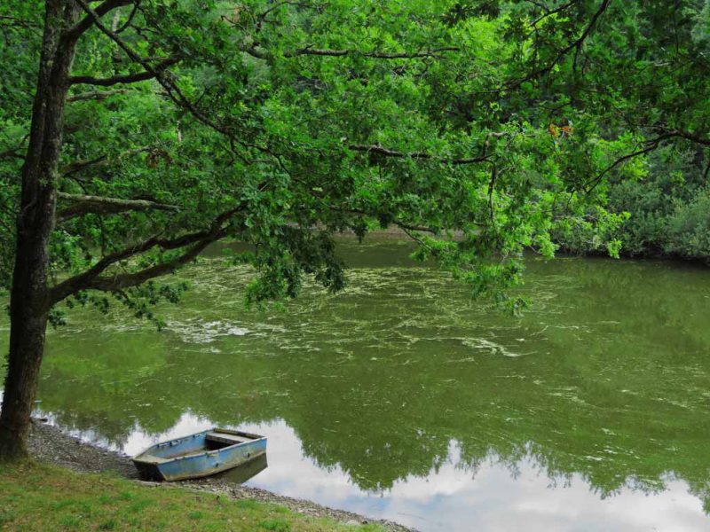 Lac de finfarine &agrave; Poiroux - @Horizon Vertical