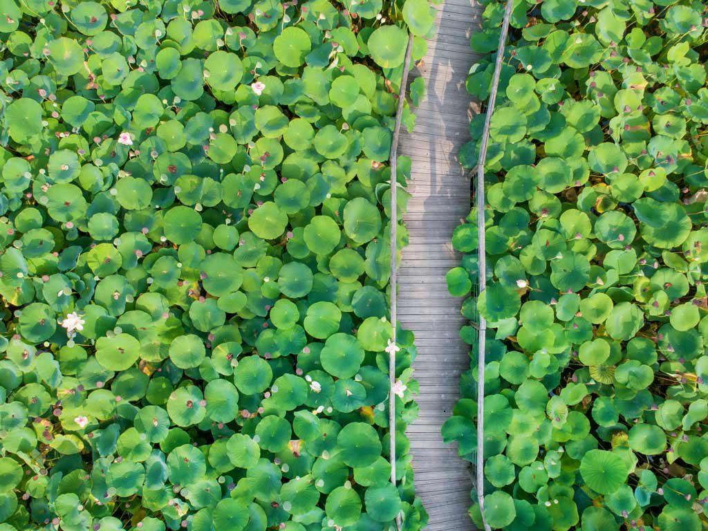 Parc floral de la Court d'Aron - cr&eacute;dit : Horizon Vertical