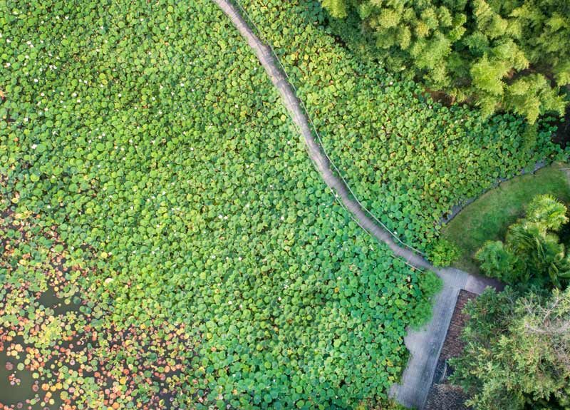 Parc floral de la Court d'Aron - crédit : Horizon Vertical Parc floral de la Court d'Aron - crédit : Horizon Vertical