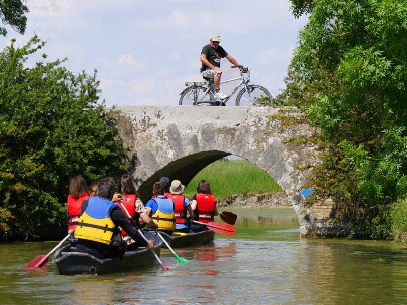 Maison du marais Longeville-sur-Mer Balade en barque marais poitevin Maison du marais Longeville-sur-Mer Balade en barque marais poitevin