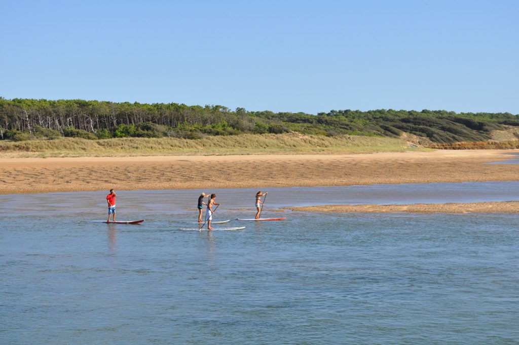Entre terre et mer : paddle en mer &agrave; Talmont-Saint-Hilaire