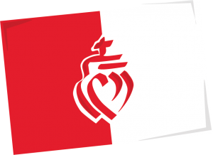 Culture locale : Drapeau de Vend&eacute;e - cr&eacute;dit dessin sophie duprat caoure