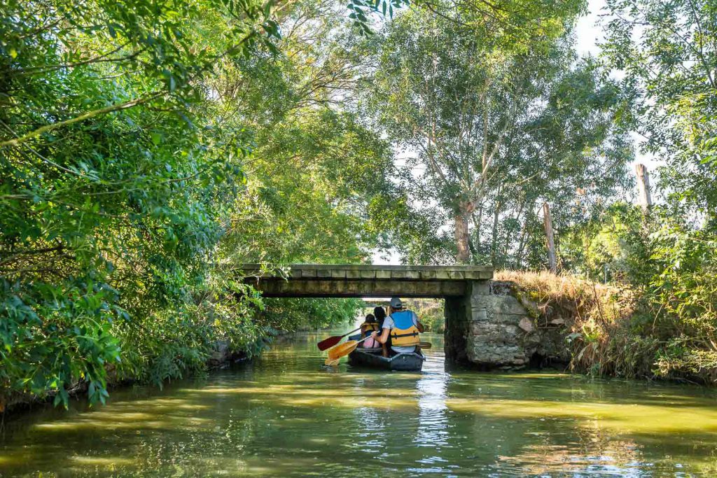 Balade en barque &agrave; la Maison du Marais &agrave; Longeville-sur-Mer - cr&eacute;dit : Julien Gazeau