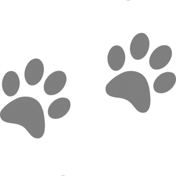 Pattes de chien en Vend&eacute;e