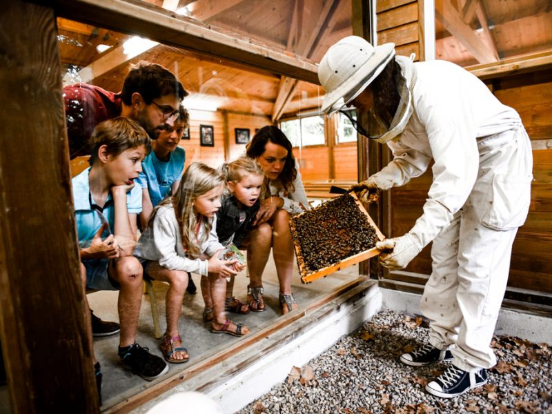 La Folie de Finfarine &agrave; Poiroux