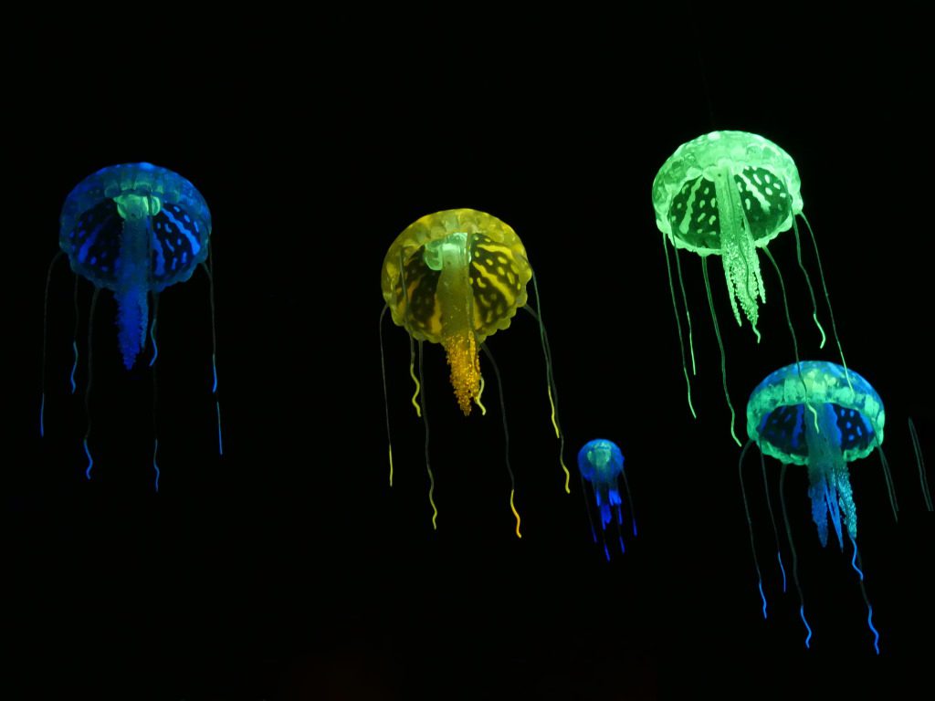 Notre visite &agrave; l'aquarium de Vend&eacute;e