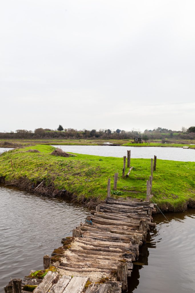 Interview_magazin_marais_jard_1 ©Edouard Nicoleau