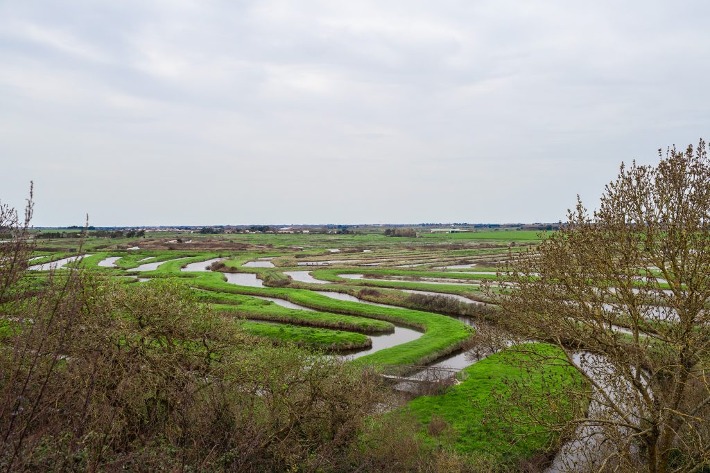 Jean et Fabrice, enfants du marais