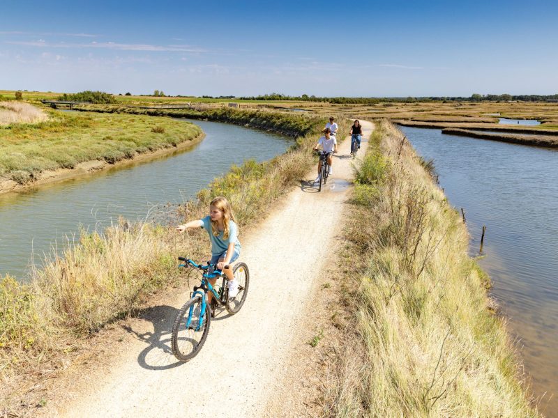 marais_guittiere_velo_3_sbourcier marais_guittiere_velo_3_sbourcier