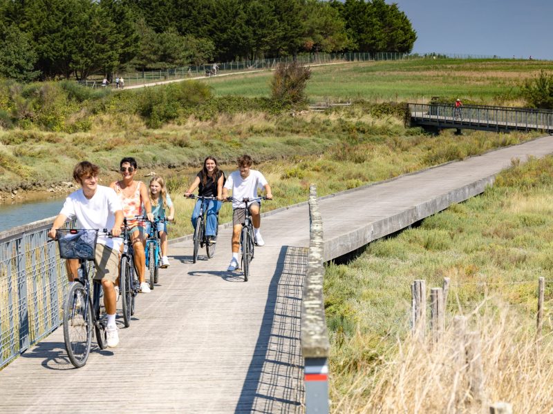 marais_guittiere_velo_passerelle_7_sbourcier marais_guittiere_velo_passerelle_7_sbourcier