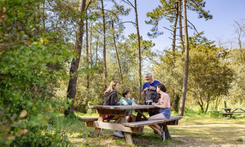 2023_Foret_PiqueNique_LaForgerie_LesSablesdOlonne_EnVendee_342 &copy;simonbourcier.com