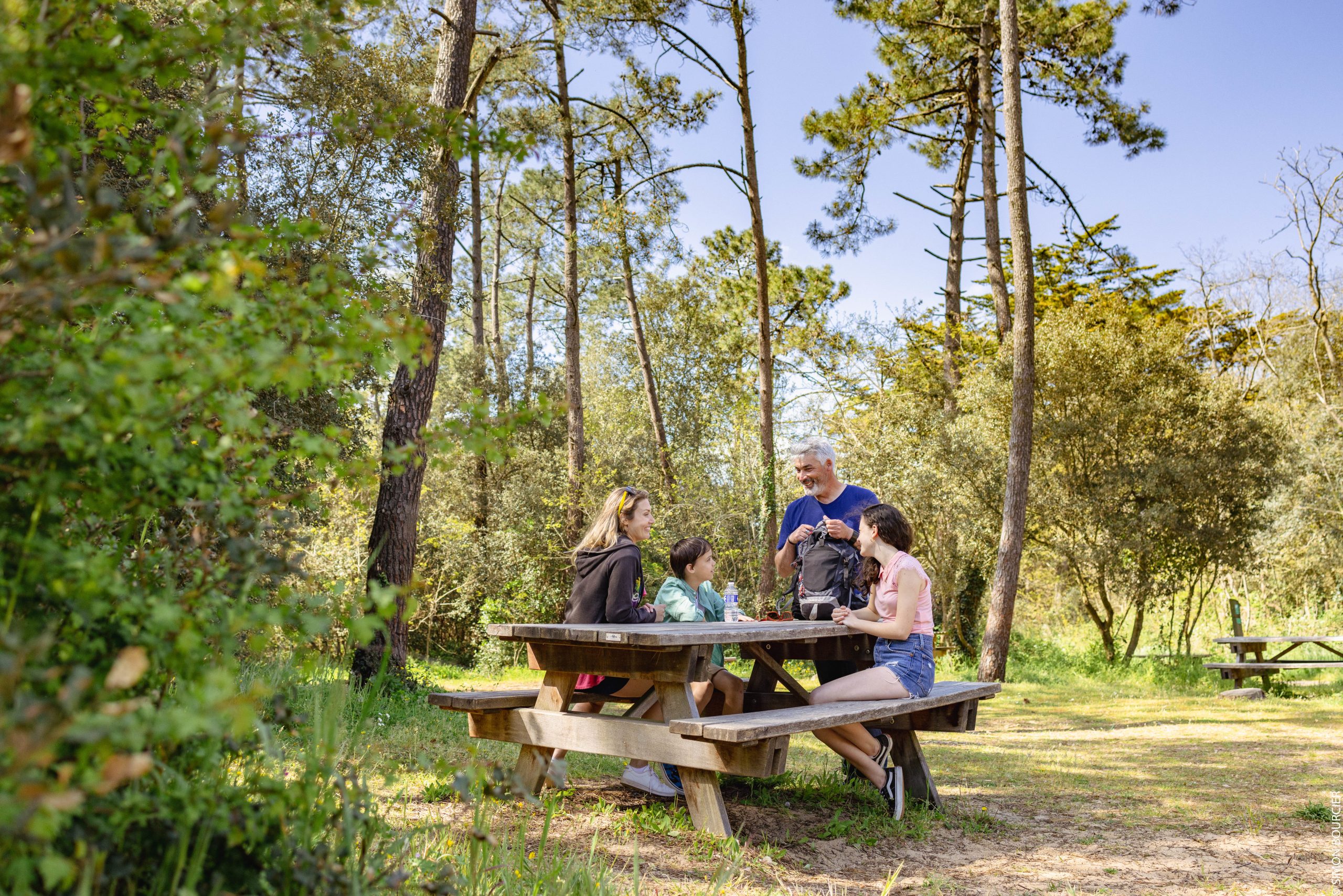 2023_Foret_PiqueNique_LaForgerie_LesSablesdOlonne_EnVendee_342 ©simonbourcier.com