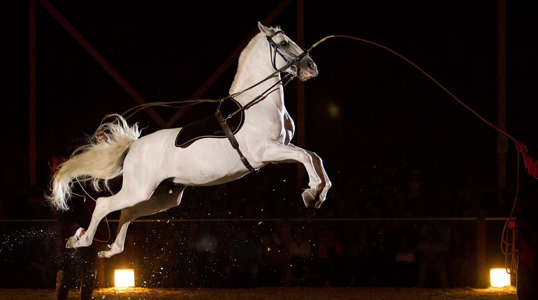 Les Écuries d'Artpaillange