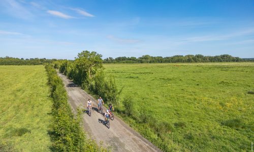 Noailles_Le Champ-Saint-P&egrave;re_158