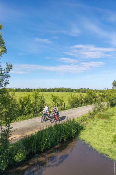 Noailles_Le Champ-Saint-P&egrave;re_171