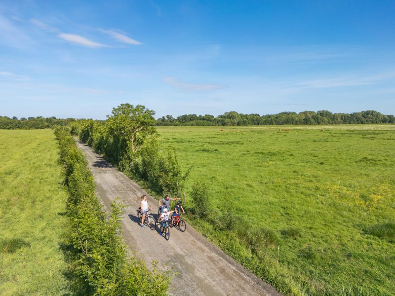 Noailles_Le Champ-Saint-P&egrave;re_159
