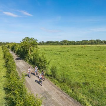 Noailles_Le Champ-Saint-Père_158 Noailles_Le Champ-Saint-Père_158