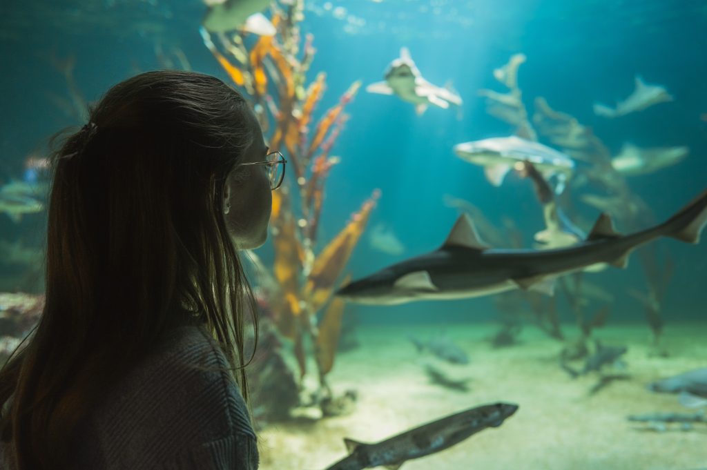Vacances de février en famille